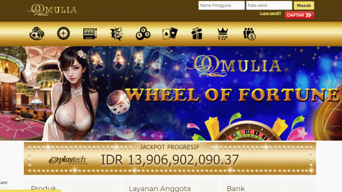 QQMULIA QQMULIA